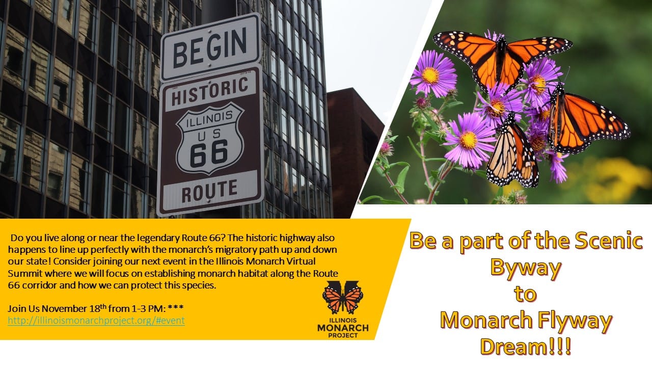 Illinois Virtual Monarch Summit - Route 66 Monarch Flyway