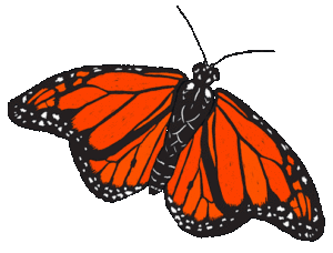monarch-animated-r2 monarch-animated-r2