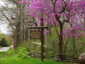 Lincoln Memorial Garden Forest Therapy