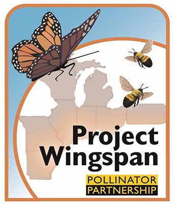 Project Wingspan