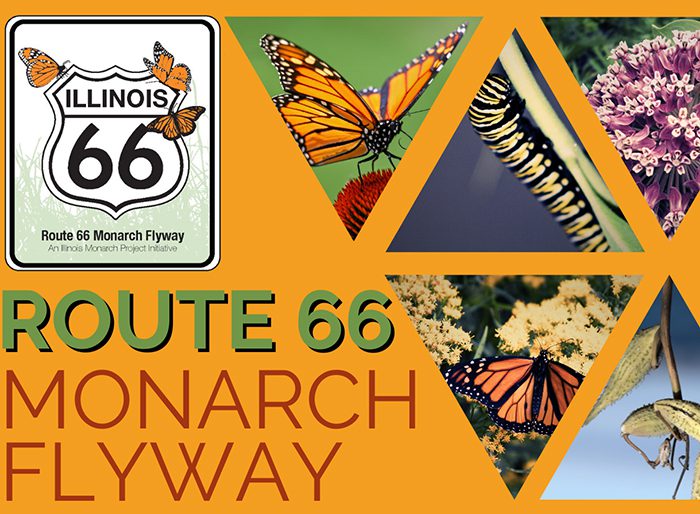 Route 66 Monarch Flyway