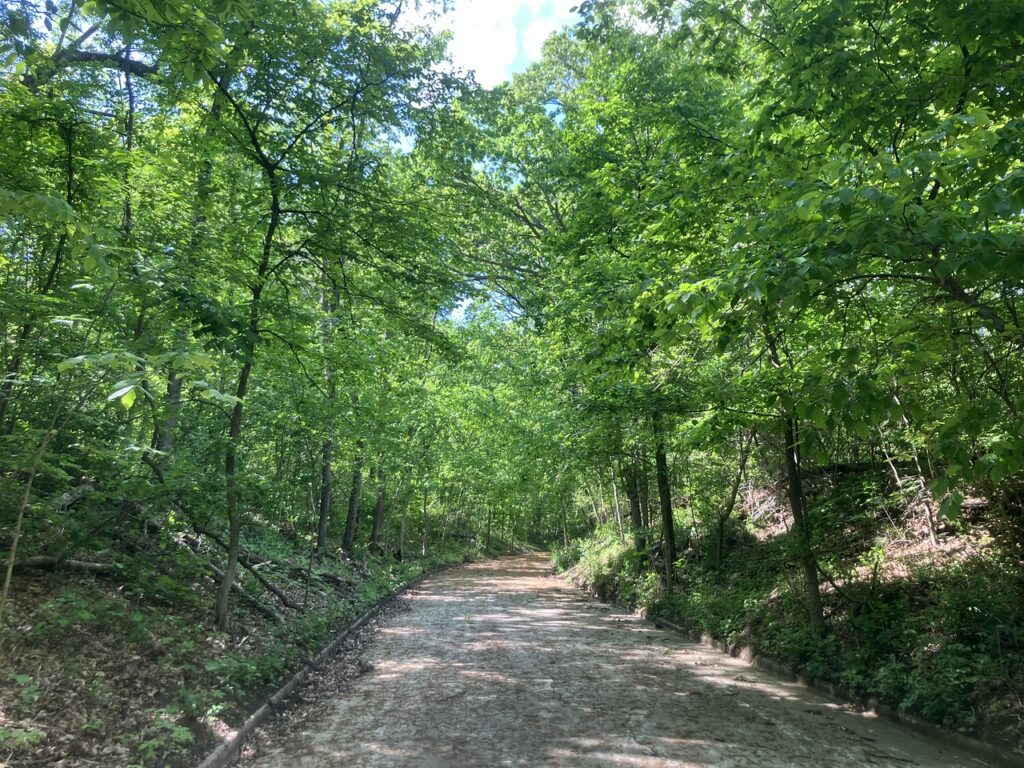 Carpenter Park Route 66