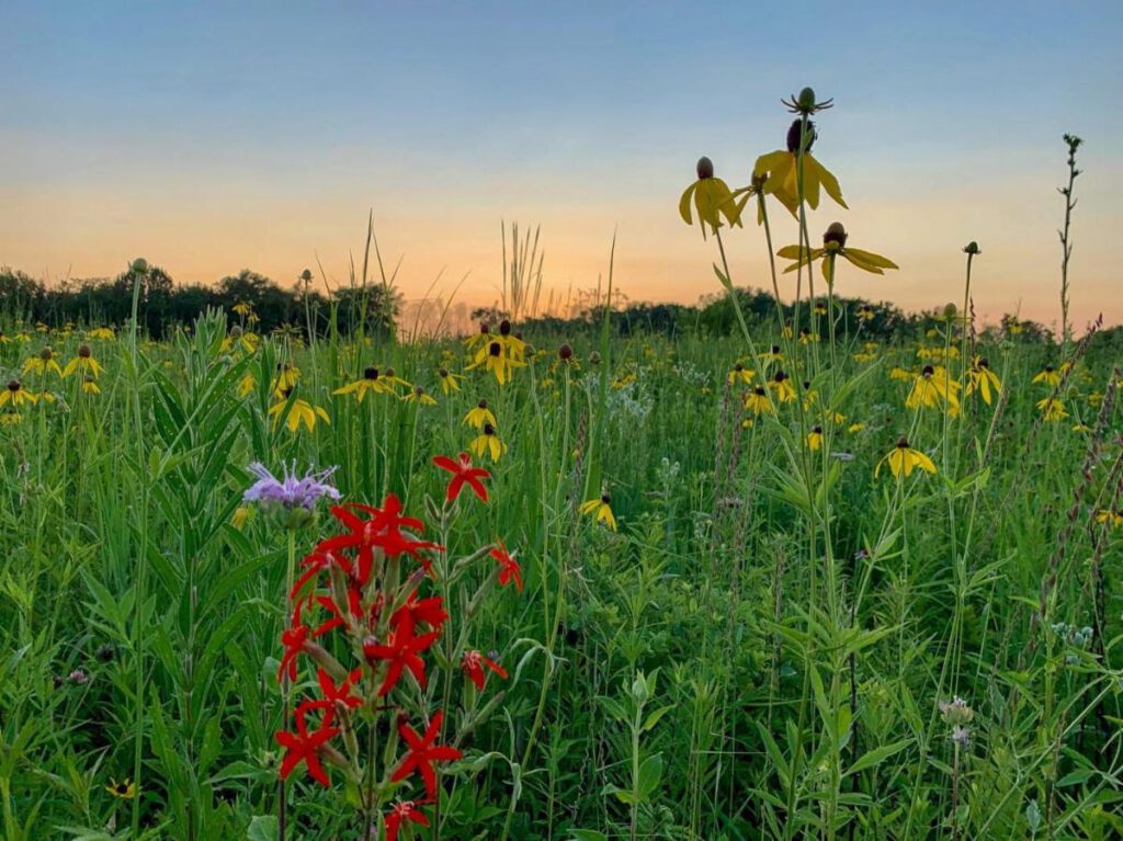 Illinois Grande Prairie