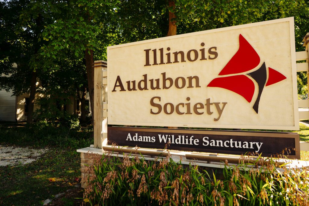Adams Wildlife Sanctuary